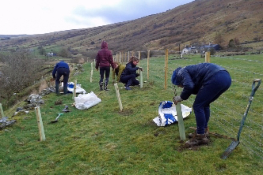 Students support tree planting with National Trust