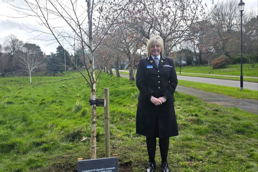 Tree to mark North Wales Police's 50th anniversary