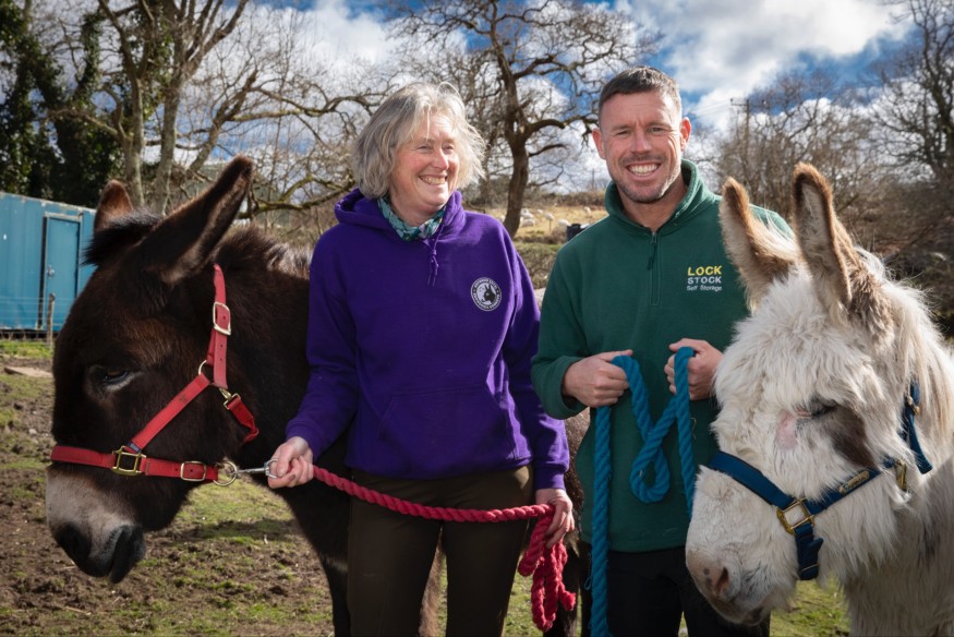 Donkeys clear the way for Wales’s rarest fungi to thrive