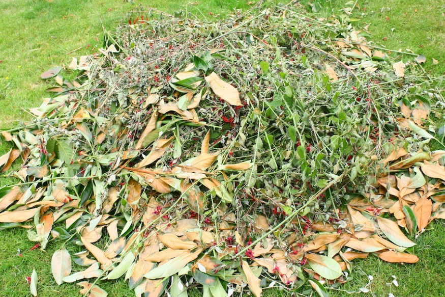 Council asks for residents view on garden waste