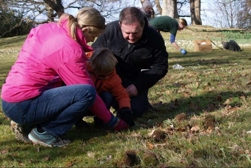 Bodnant needs your help to plant quarter of a million snowdrops