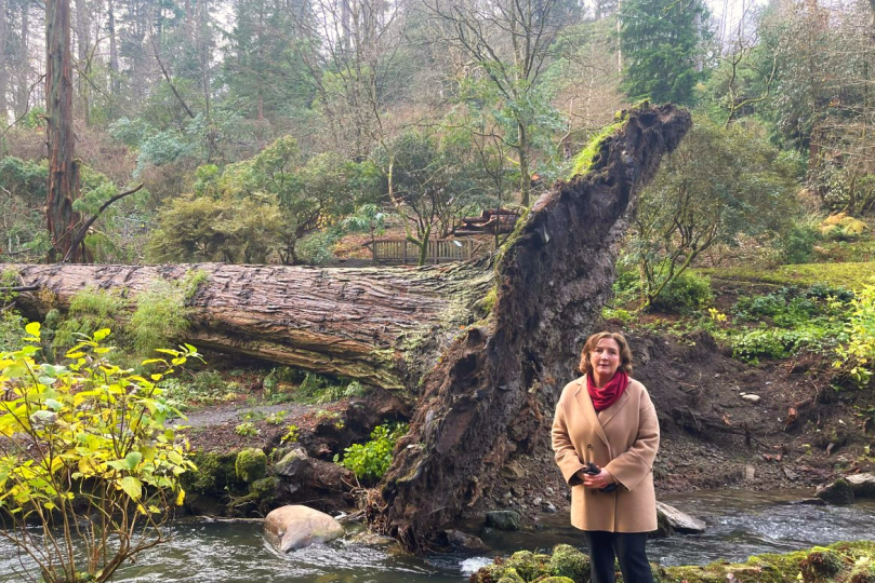 Praise for National Trust recovery plan at Bodnant Gardens