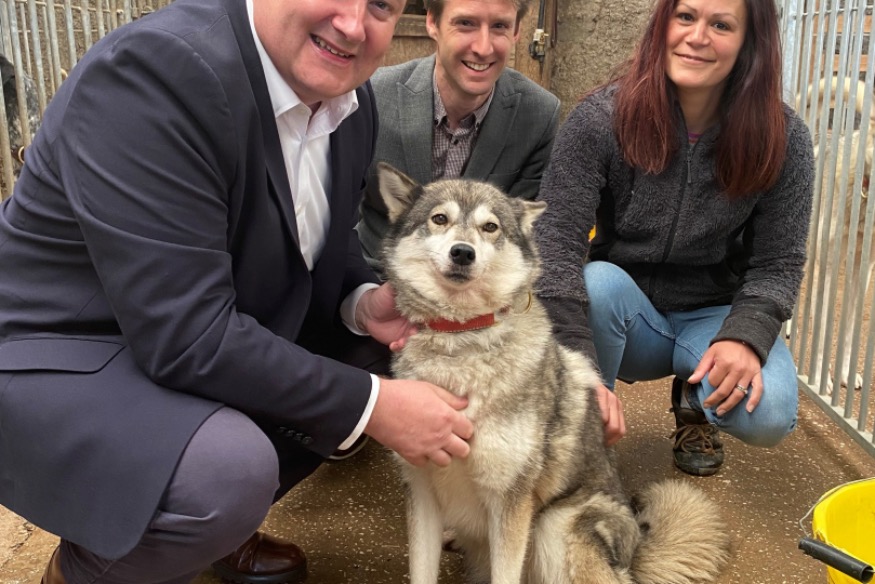 Conwy provider offering husky rides and sleddog experiences