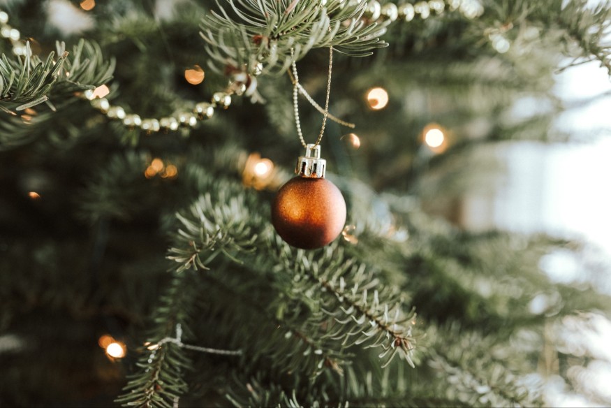 Firms invited to support hospice Christmas tree festivals