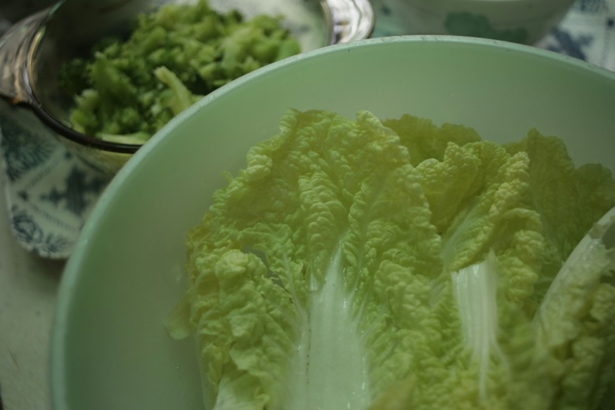 Green shoots of success in developing healthy school menus