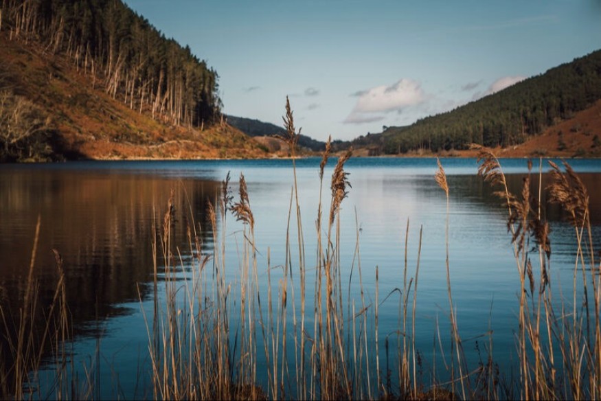 Consultation launched on the health of Wales’s rivers